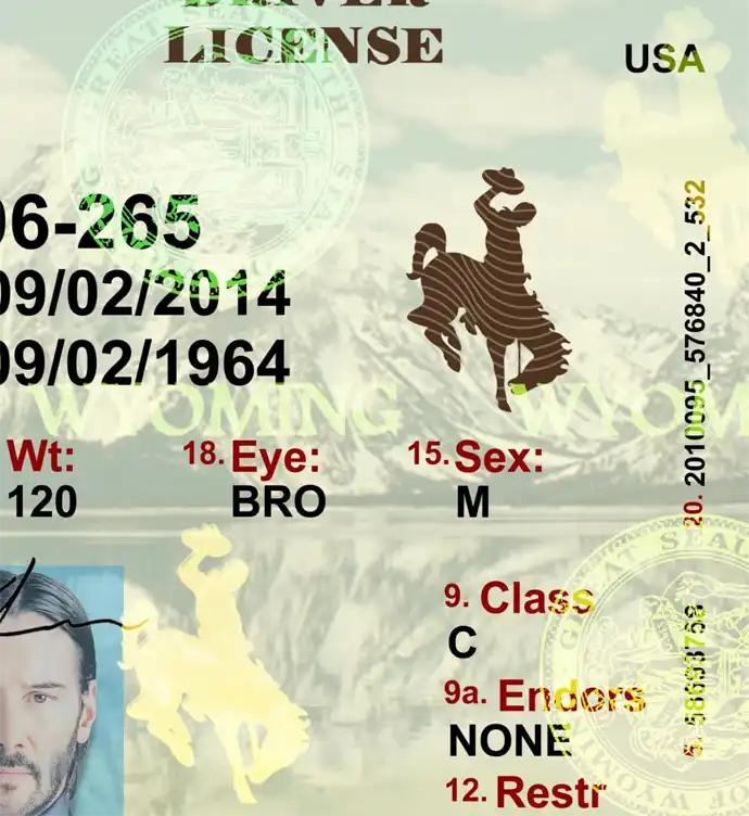 United States (Wyoming) Driver License Old Template preview image 2
