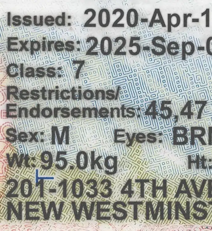 United States (British Columbia) Driver License New Template preview image 2
