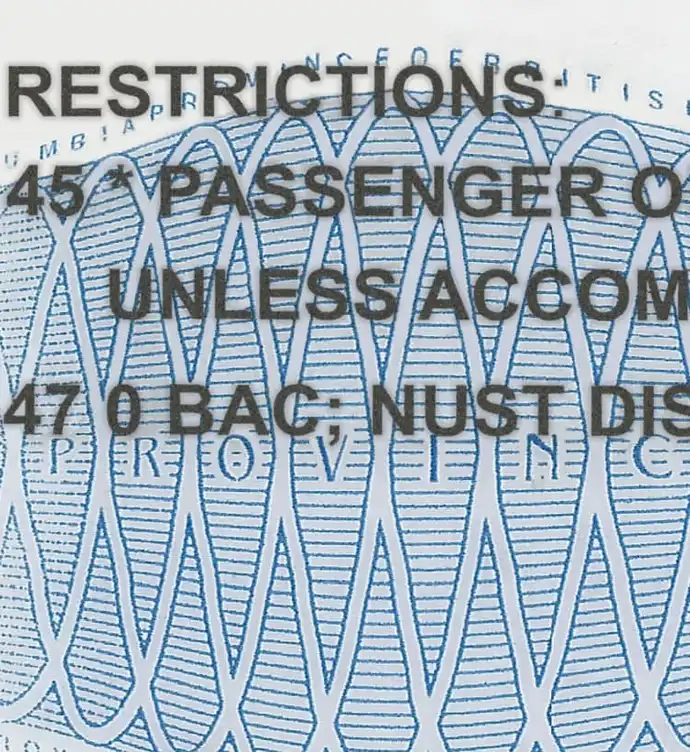 United States (British Columbia) Driver License New Template preview image 3