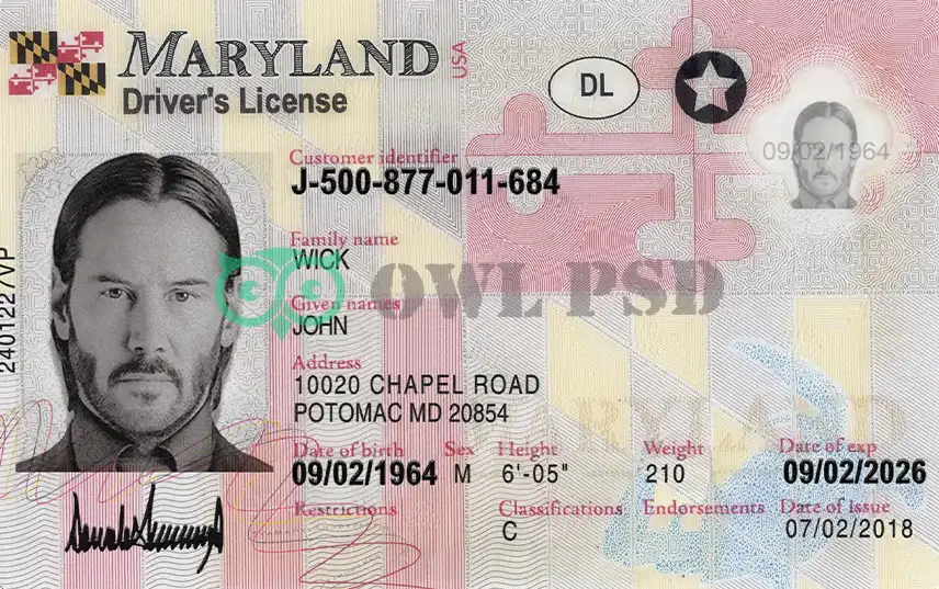 United States (Maryland) Driver License New Template preview image 1