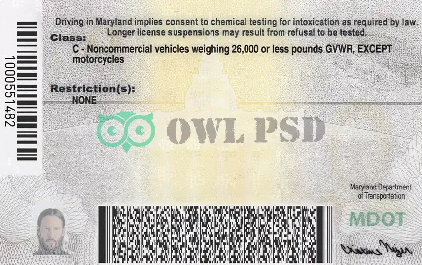 United States (Maryland) Driver License New Template preview image 2