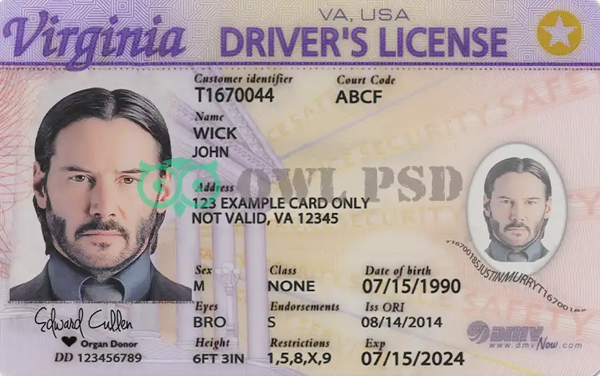 United States (Virginia) Driver License Old Template preview image 1