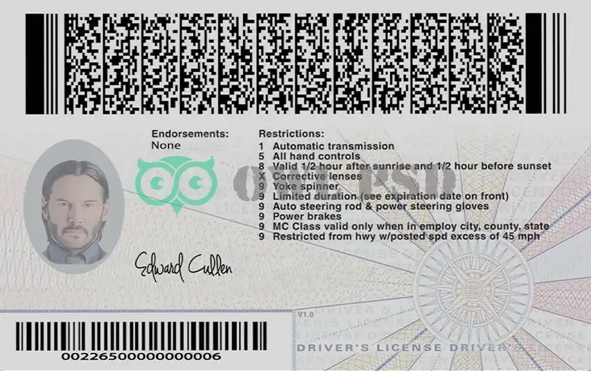 United States (Virginia) Driver License Old Template preview image 2