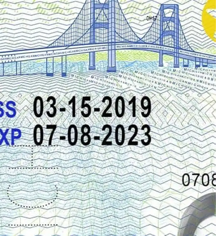 United States (Michigan) Driver License New Template preview image 2