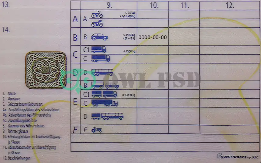 Austria Driver License Old Template preview image 2