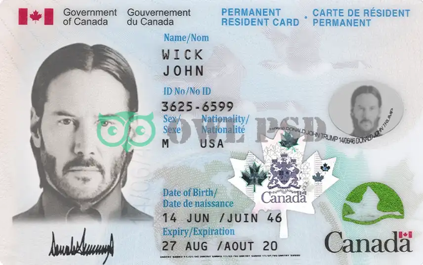 Canada Green Card Template 2012 preview image 1