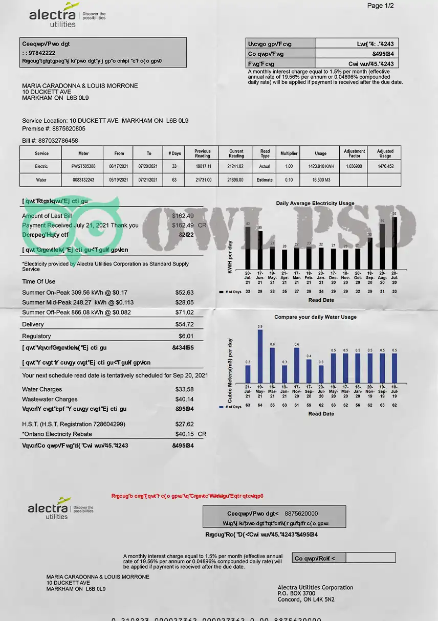 Canada Alectra Utility Bill Template preview image 1