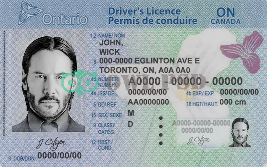 Canada Driver License Template preview image 1