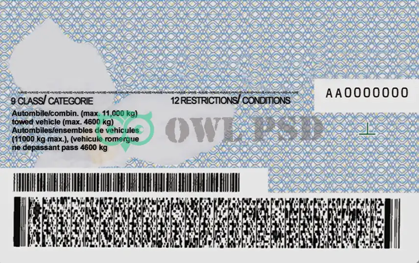Canada Driver License Template preview image 2
