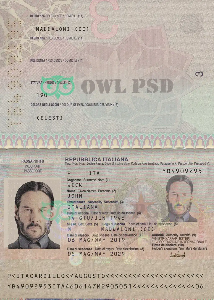 Italy Passport Template 2010 preview image 1