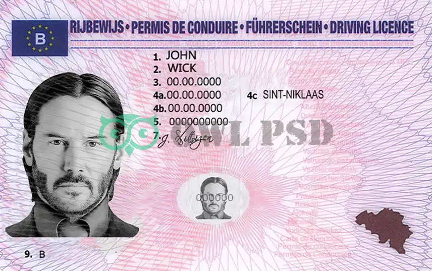 Belgium Driver License Template Old preview image 1