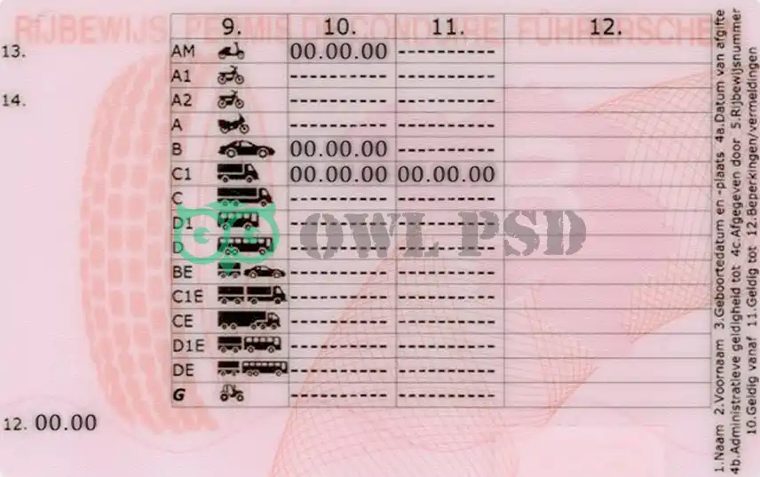 Belgium Driver License Template Old preview image 2