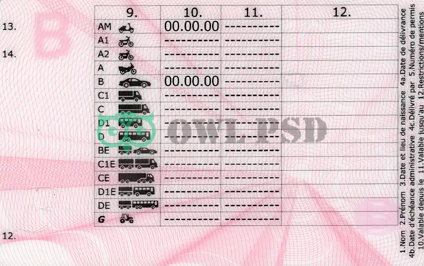 Belgium Driver License Template 2013 preview image 2