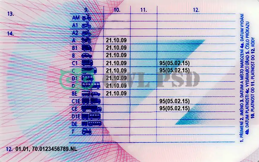 Czech Republic Driver License Template preview image 2