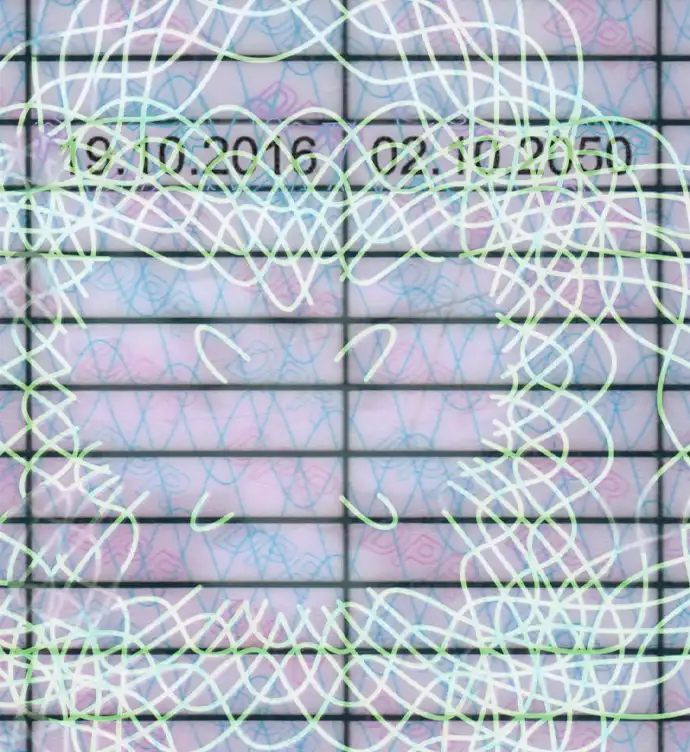 Donetsk People's Republic Driver License Template preview image 3