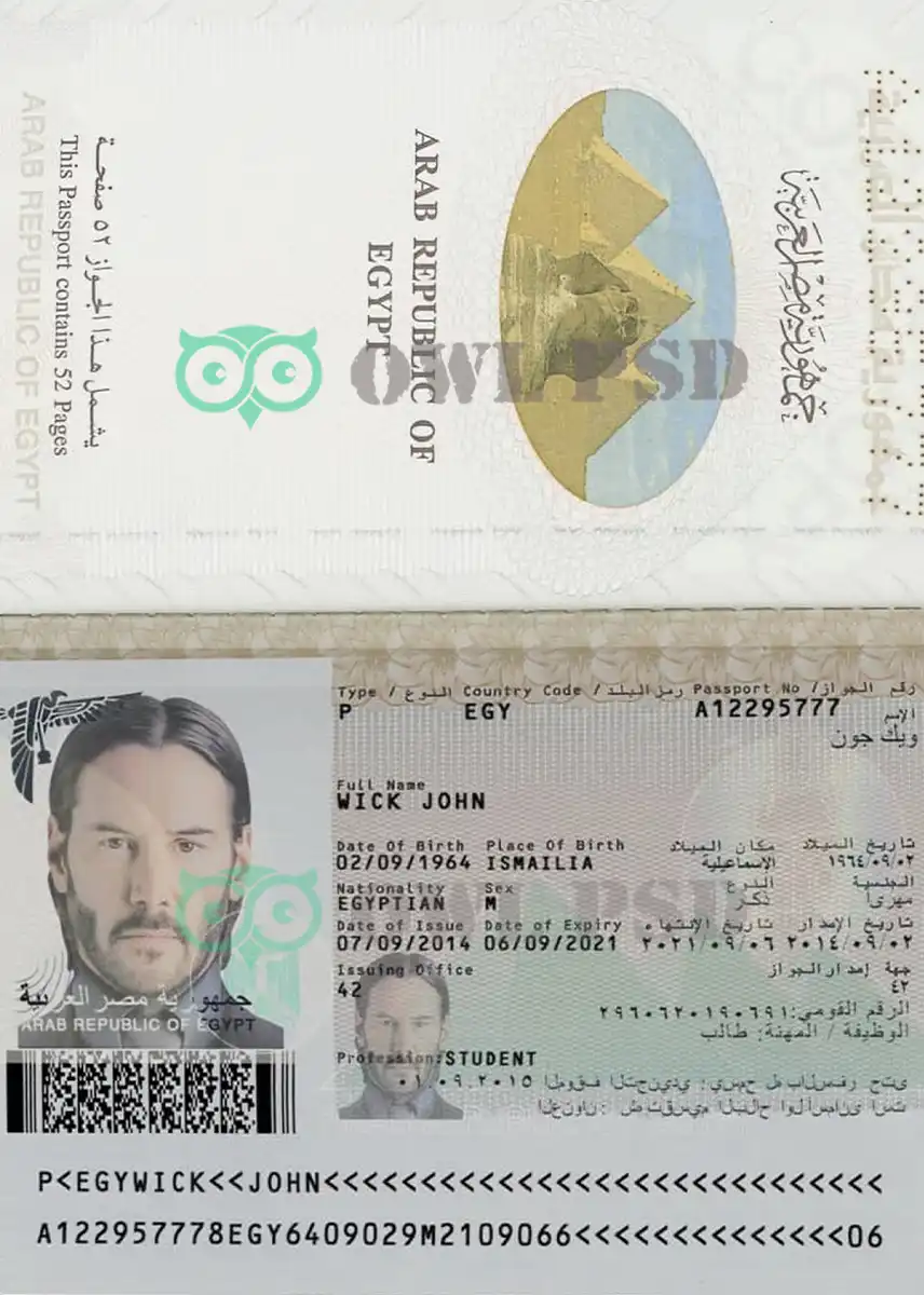 Egypt Passport Template 2008 preview image 1