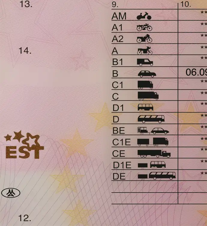 Estonia Driver License Template 2013 preview image 3
