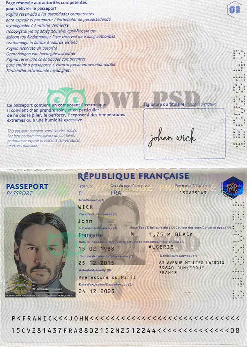 France Passport Template 2006 preview image 1