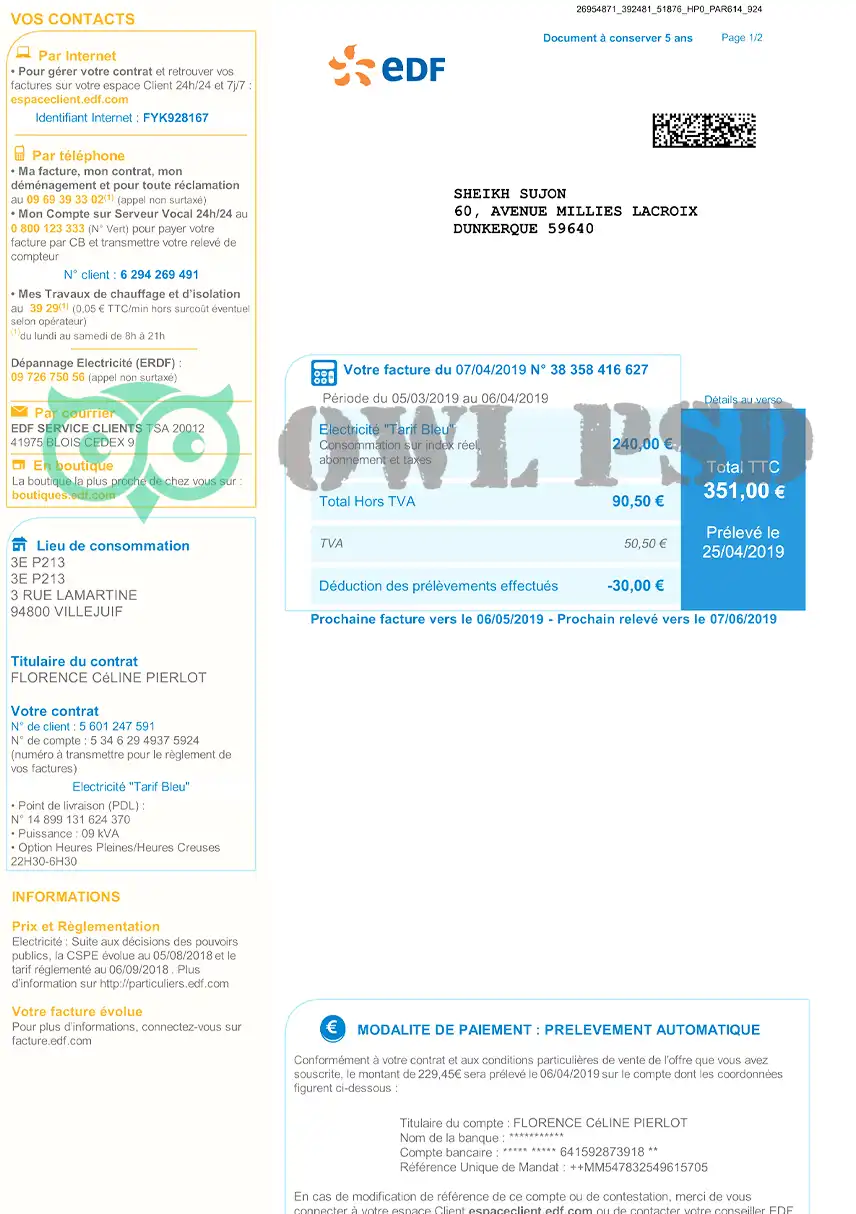 France EDF Utility Bill Template preview image 2
