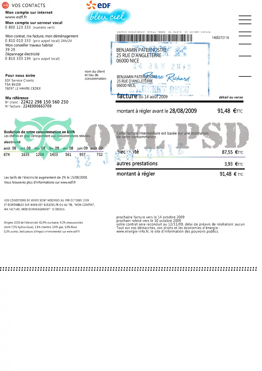 France EDF Utility Bill Template preview image 3