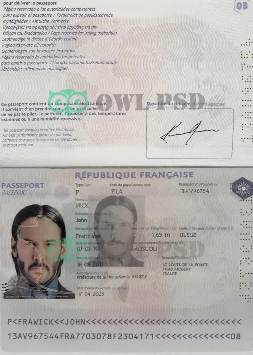 France Passport Template 2006 preview image 1
