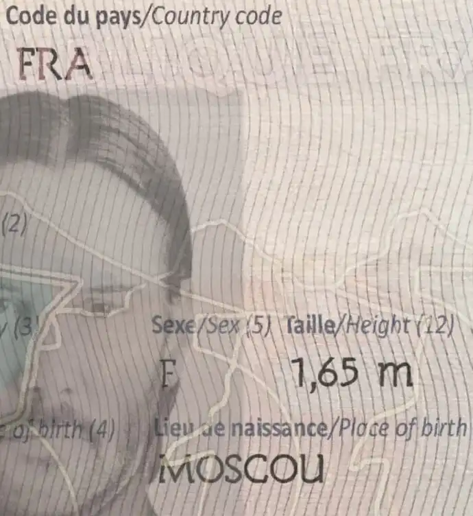 France Passport Template 2006 preview image 3