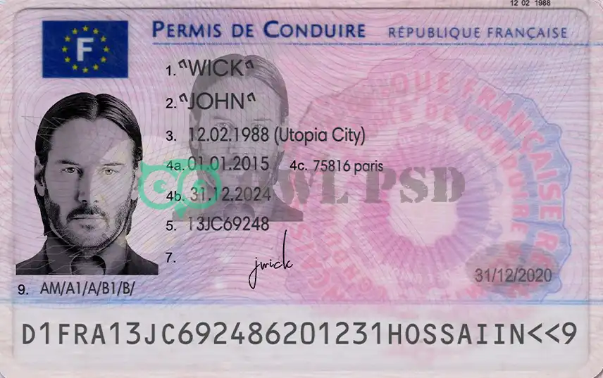 France Driver License Template 2015 preview image 1