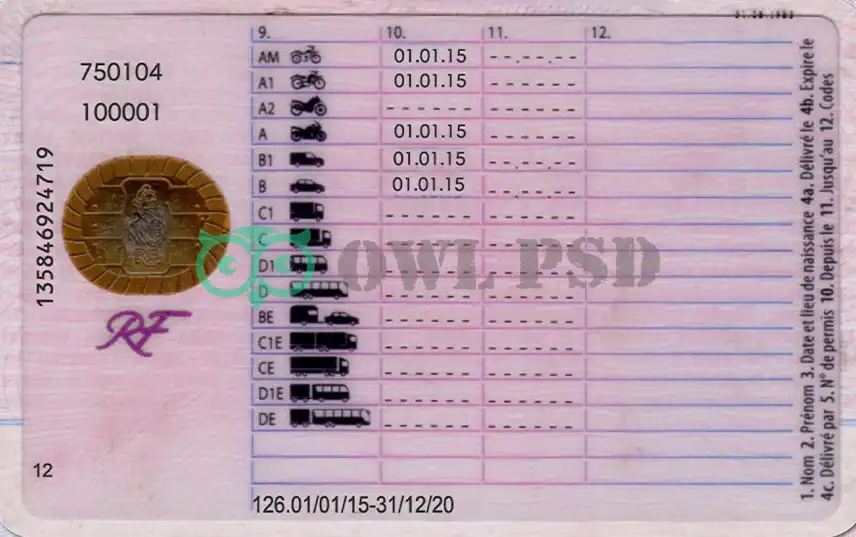 France Driver License Template 2015 preview image 2