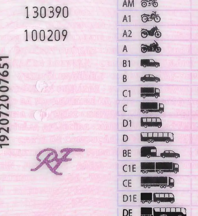 France Driver License Template 2015 preview image 3