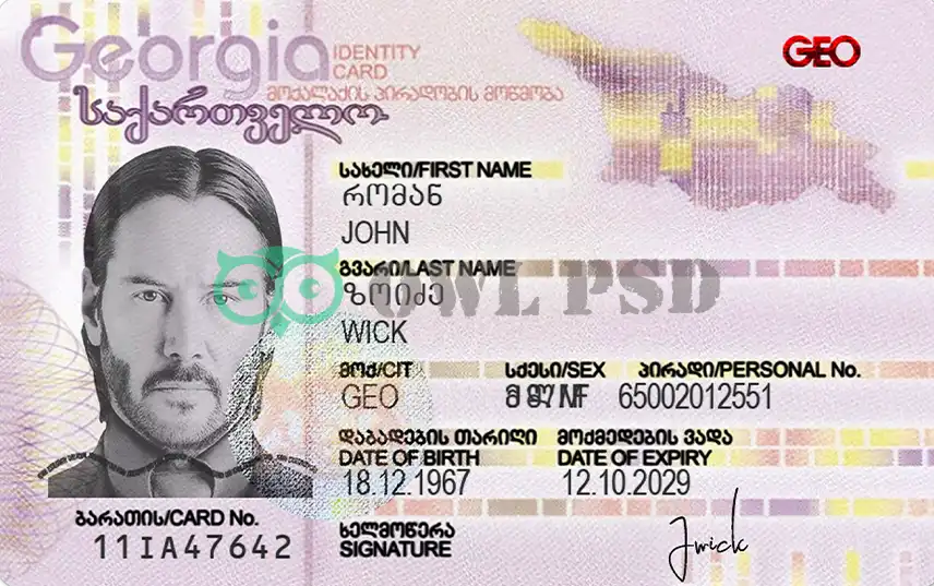 Georgia ID Card Template preview image 1