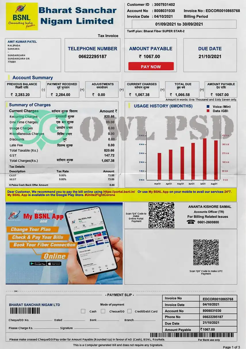 India BSNL Utility Bill Template preview image 1