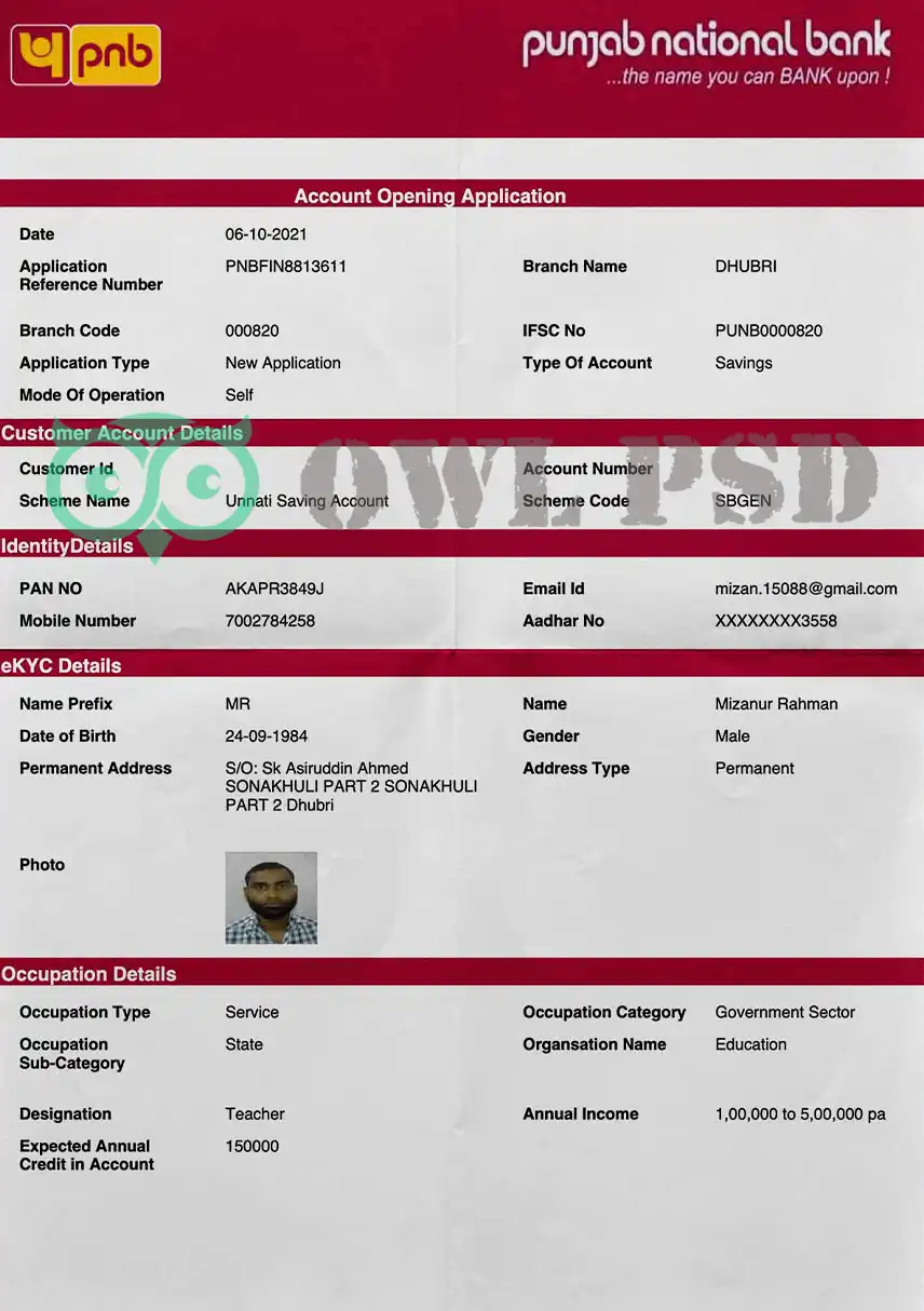 India Punjab National Bank Statement Template preview image 1