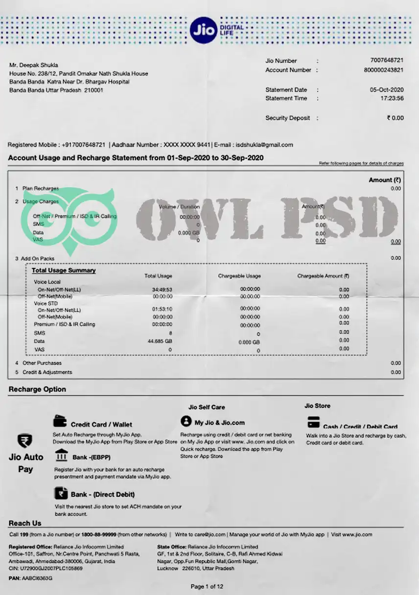 India JIO Bank Statement Template preview image 1