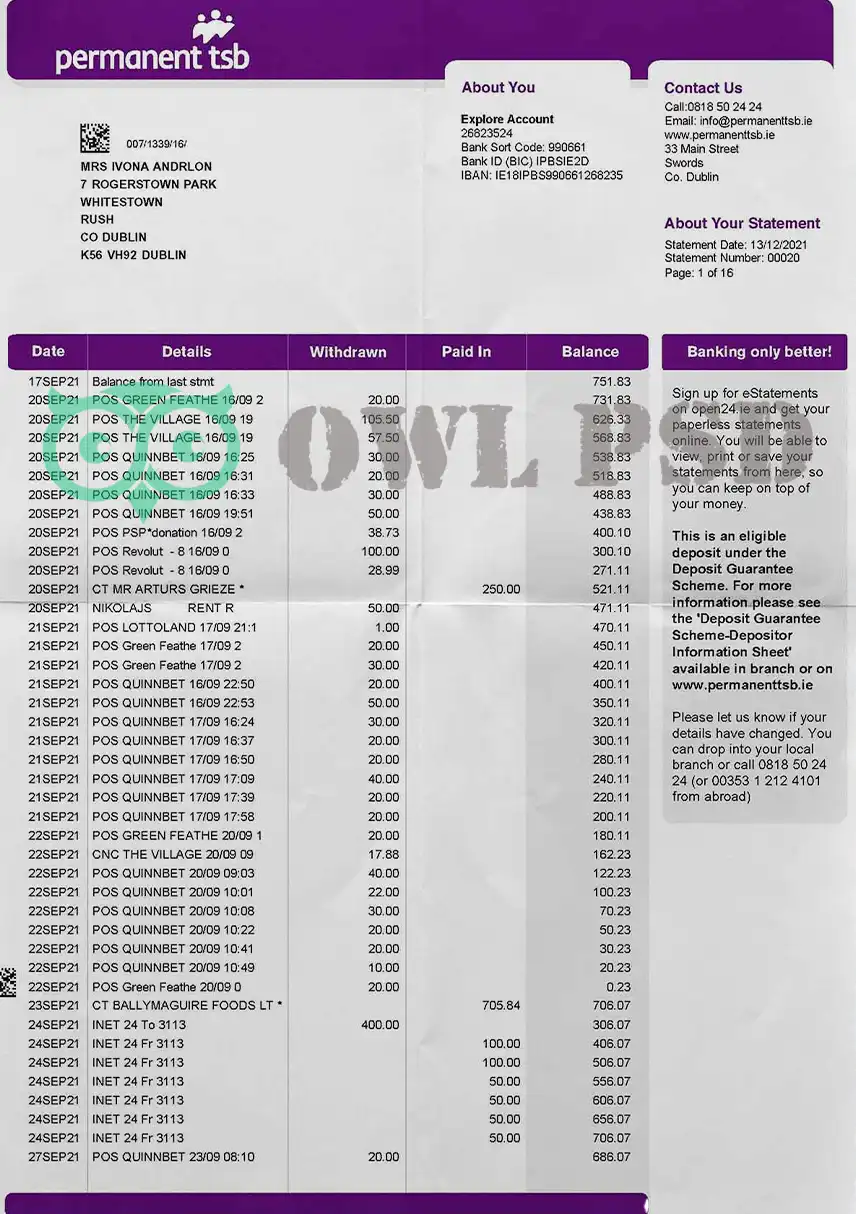 Ireland Permanent TSB Statement Template preview image 1