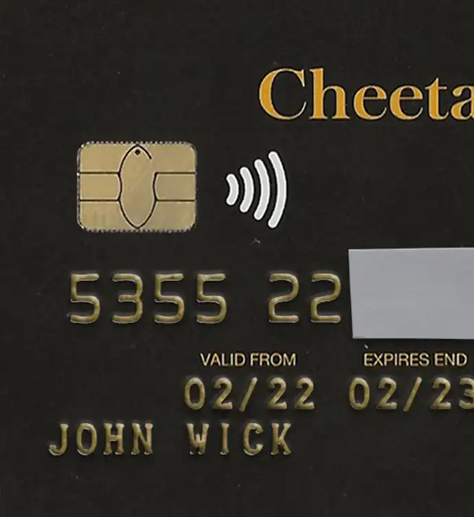 Ireland Cheetah Money Credit Card Template preview image 1
