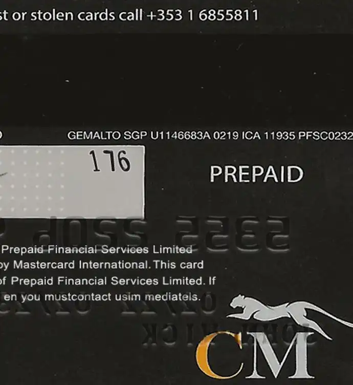 Ireland Cheetah Money Credit Card Template preview image 2