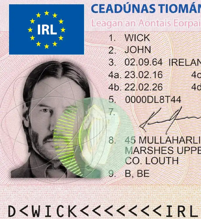 Ireland Driver License Template 2013 preview image 1