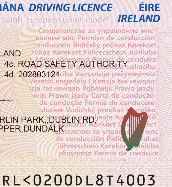 Ireland Driver License Template 2013 preview image 2