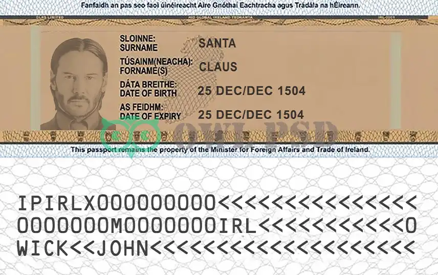 Ireland ID Card Template preview image 2
