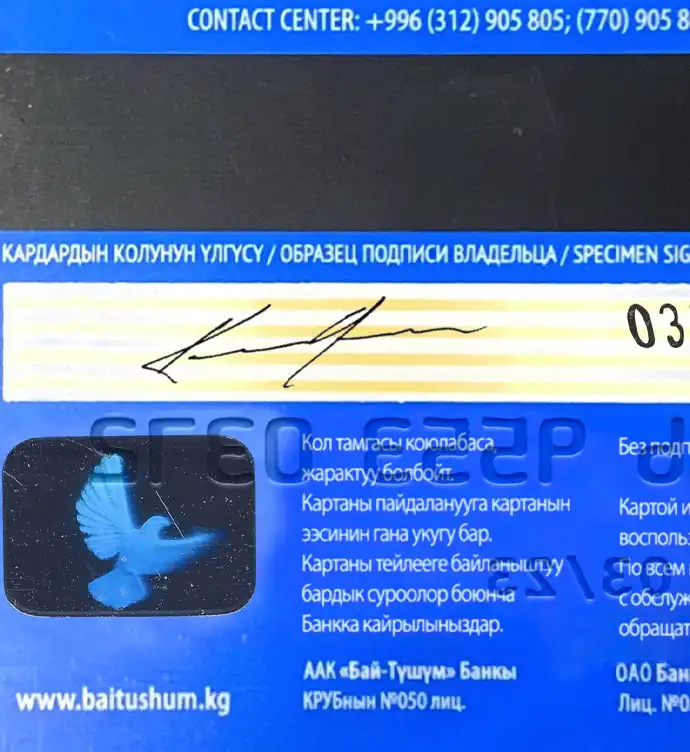 Kyrgyzstan Bai Tushum Bank Credit Card Template preview image 2