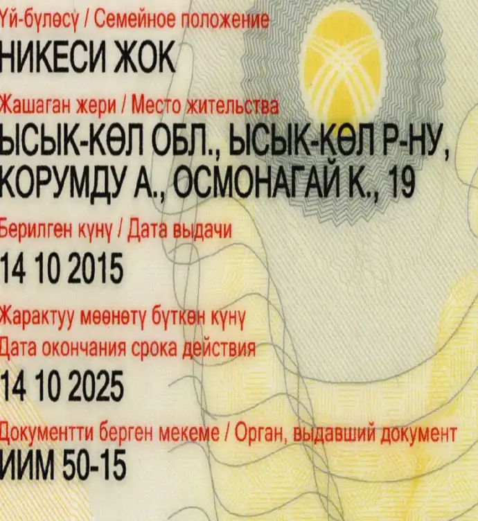 Kyrgyzstan ID Card Template 2005 preview image 3