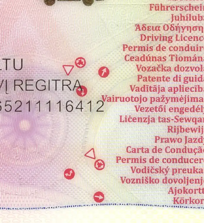 Lithuania Driver License Template 2013 preview image 2