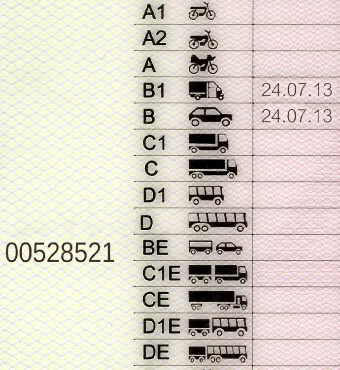Lithuania Driver License Template 2013 preview image 3