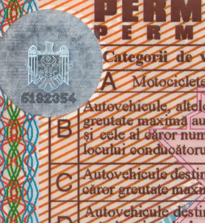 Moldova Driver License Template 1995 preview image 2
