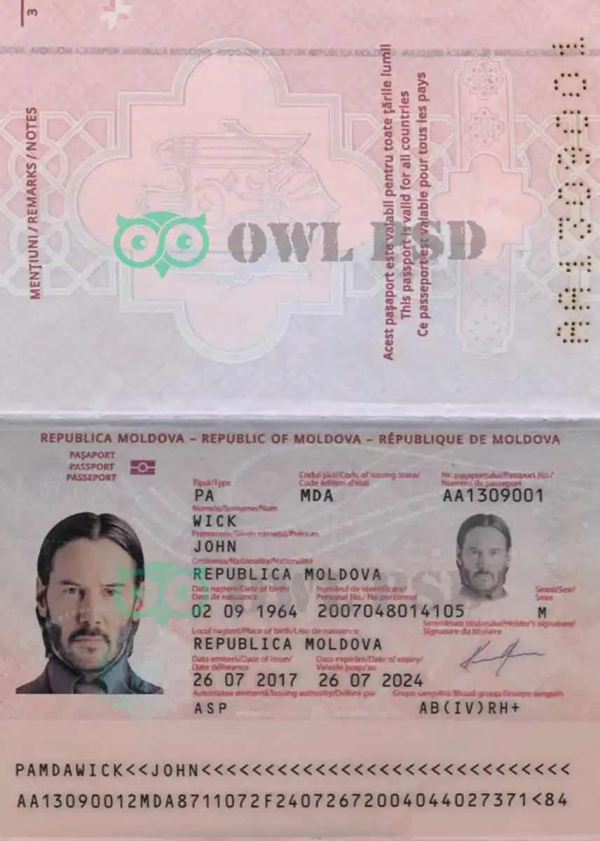 Moldova Passport Template 2014 preview image 1
