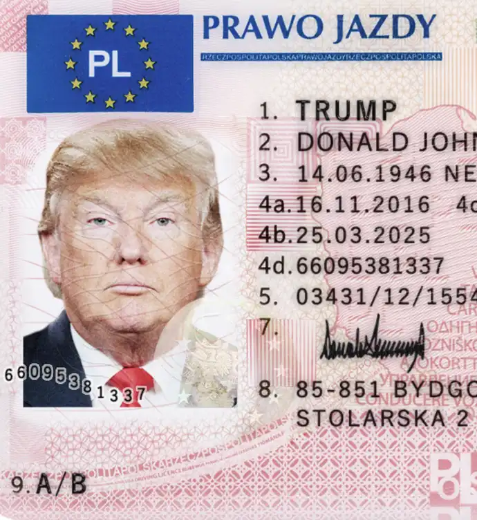 Poland Driver License Template 2013 preview image 1
