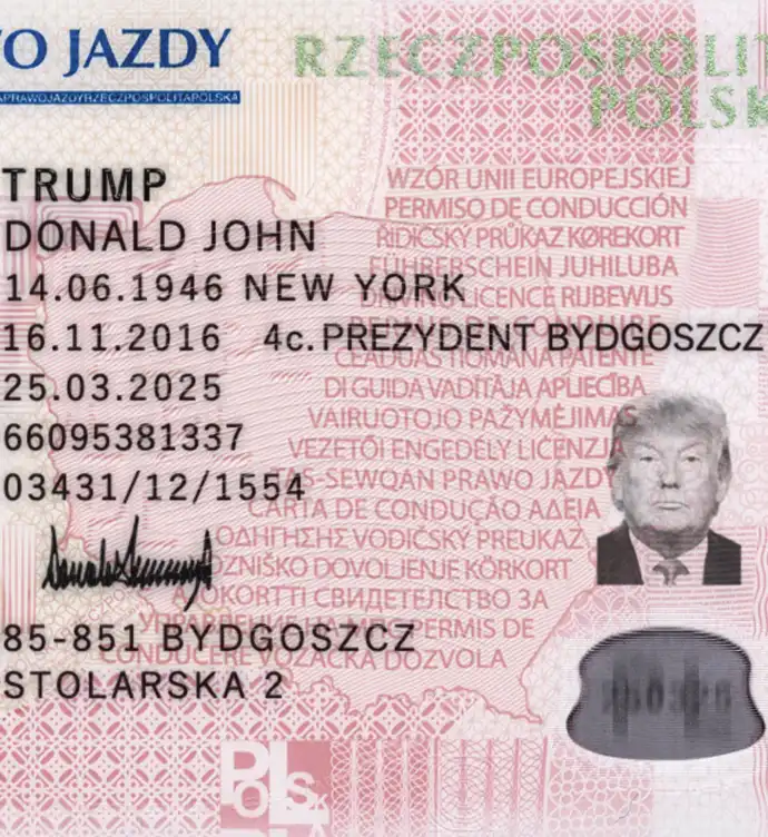 Poland Driver License Template 2013 preview image 2