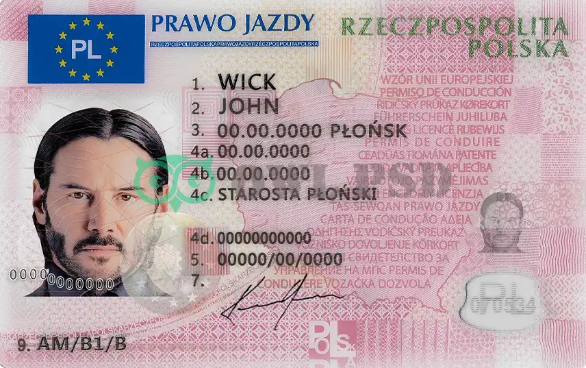 Poland Driver License Template 2019 preview image 1