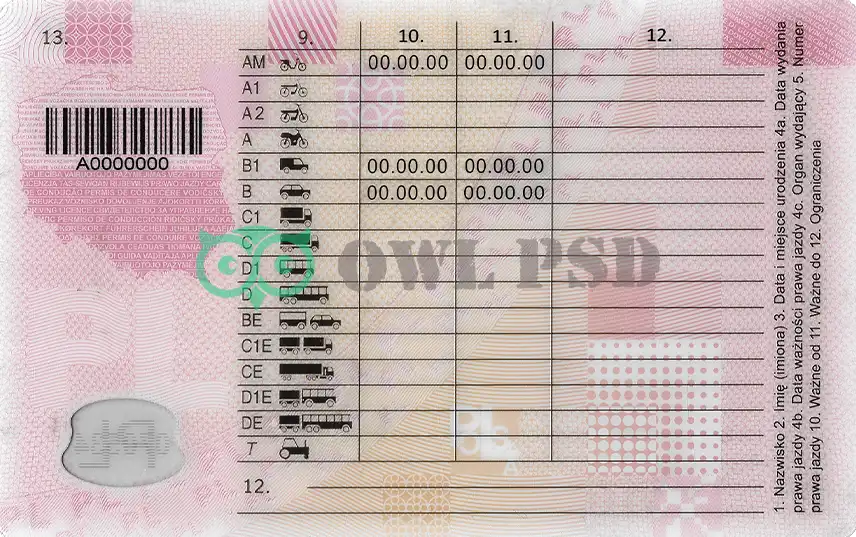 Poland Driver License Template 2019 preview image 2