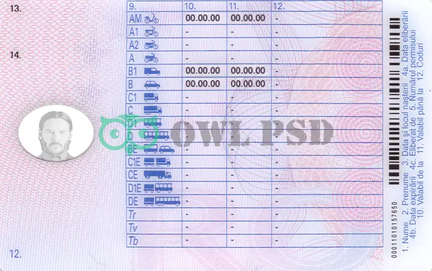 Romania Driver License Template 2013 preview image 2